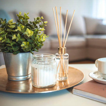 Home DecorHome decor plant, candle and scents bottle