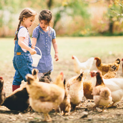 FeedsTwo girls feeding chickens
