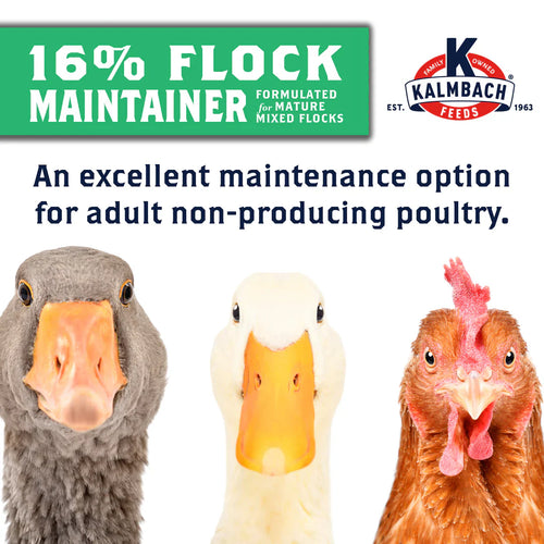 Kalmbach 16% Flock Maintainer