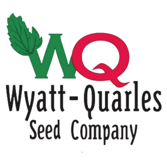 Wyatt-Quarles Seed Company Kandy Korn E. H. Hybrid