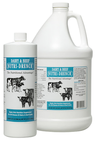 Bovidr Laboratories Dairy Beef Nutridrench