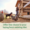 Nutrena® NatureWise® Oyster Shell