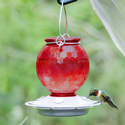 Nature's Way EcoCycle™ Crimson Comb Recycled Glass Hummingbird Feeder