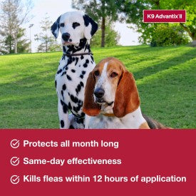 K9 Advantix II Flea, Tick & Mosquito Treatment & Prevention for Medium Dogs