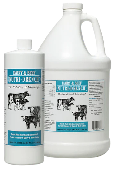 Bovidr Laboratories Dairy Beef Nutridrench